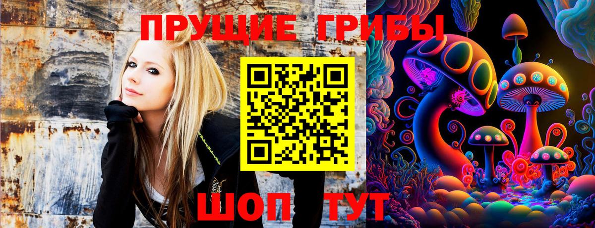 Галлюциногенные грибы мухоморы Жуковский