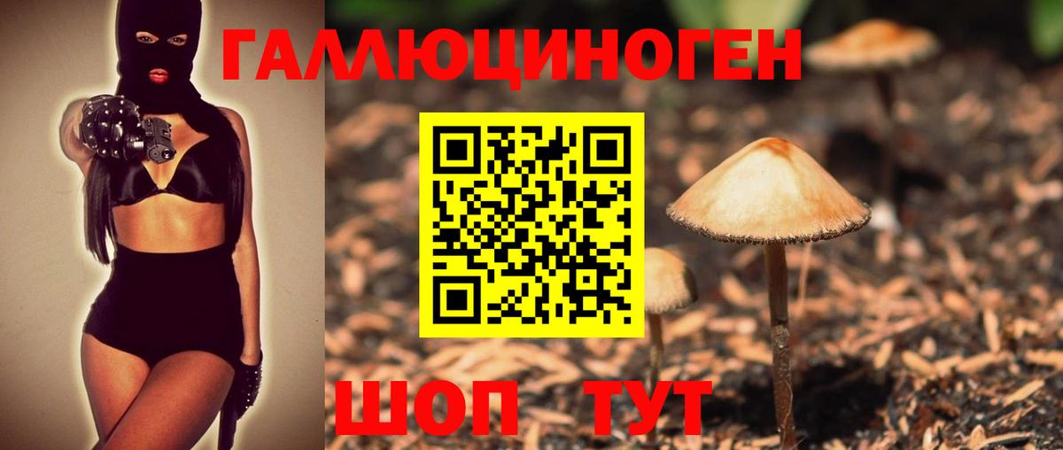 Жуковский  Галлюциногенные грибы Psilocybine cubensis  Вход с VPN 